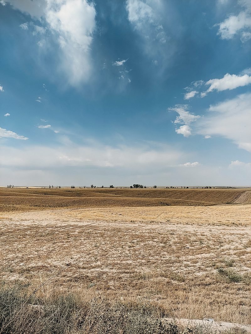 Dryland plains field under a wide high plains sky.